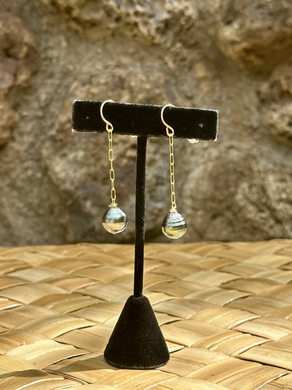 Tahitian Pearls - 14K Gold Filled Paperclip Dangle Earrings