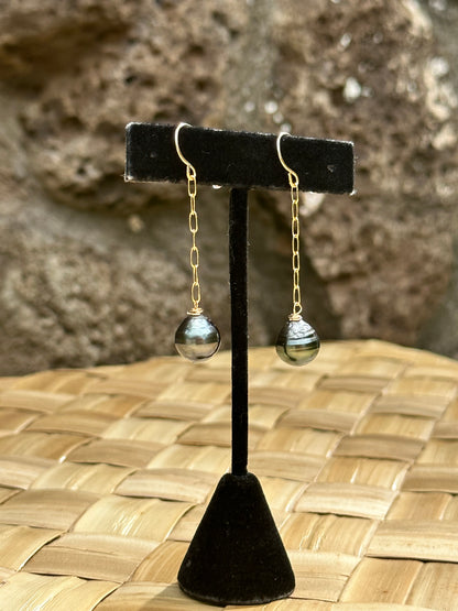 Tahitian Pearls - 14K Gold Filled Paperclip Dangle Earrings