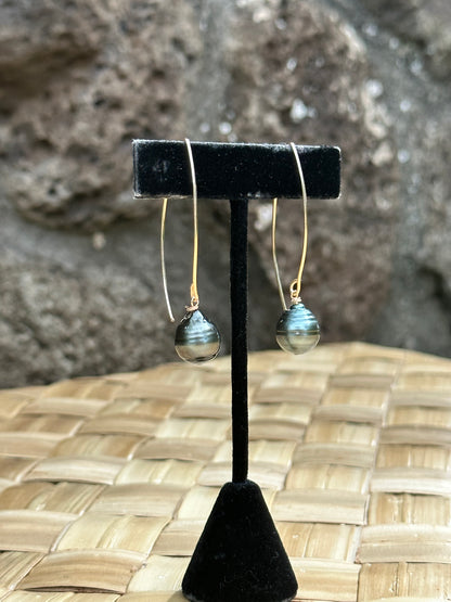 Tahitian Pearl - 14K Gold Filled Hook Dangle Earrings